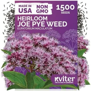 black-eyed-susan-seeds