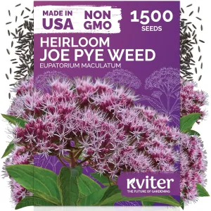 black-eyed-susan-seeds