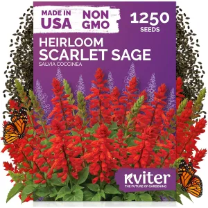 black-eyed-susan-seeds
