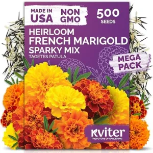 black-eyed-susan-seeds