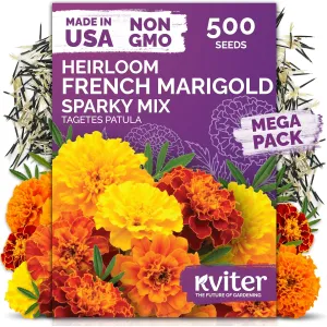 black-eyed-susan-seeds