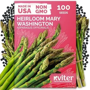 black-eyed-susan-seeds