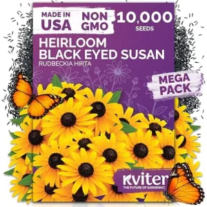 black-eyed-susan-seeds
