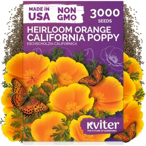 black-eyed-susan-seeds