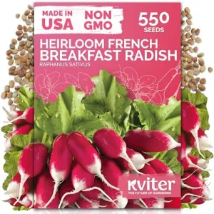 black-eyed-susan-seeds