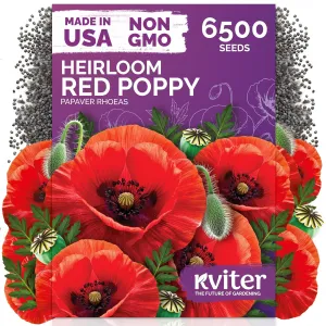black-eyed-susan-seeds
