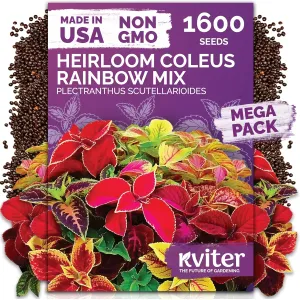 black-eyed-susan-seeds
