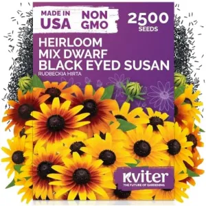 black-eyed-susan-seeds