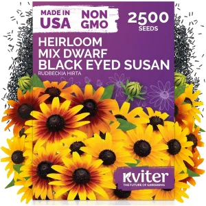 black-eyed-susan-seeds