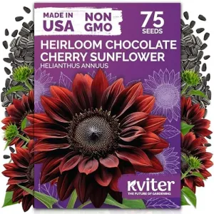 black-eyed-susan-seeds