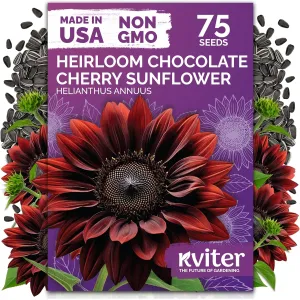 black-eyed-susan-seeds