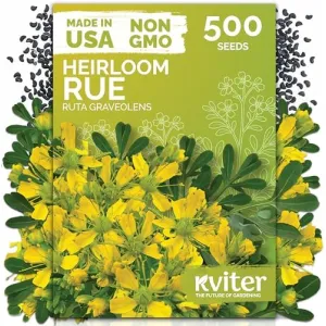 black-eyed-susan-seeds
