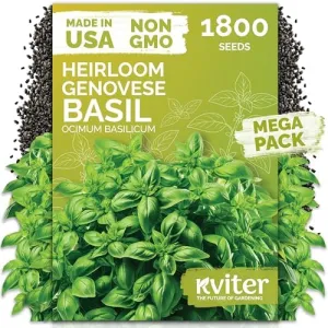 black-eyed-susan-seeds