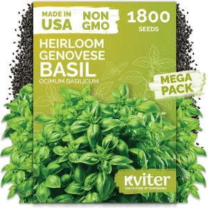 black-eyed-susan-seeds