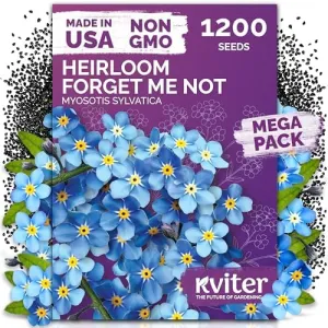 black-eyed-susan-seeds