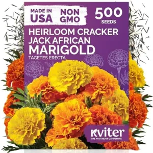 black-eyed-susan-seeds
