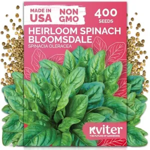 black-eyed-susan-seeds