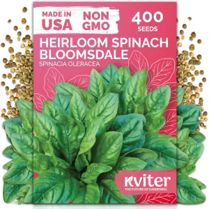 black-eyed-susan-seeds