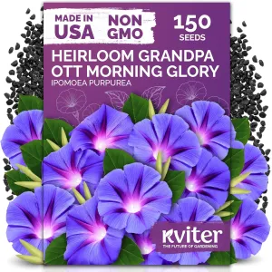 black-eyed-susan-seeds