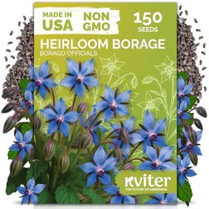 black-eyed-susan-seeds