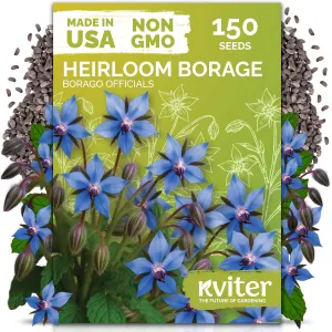 black-eyed-susan-seeds