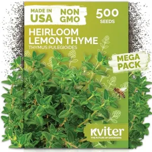 black-eyed-susan-seeds