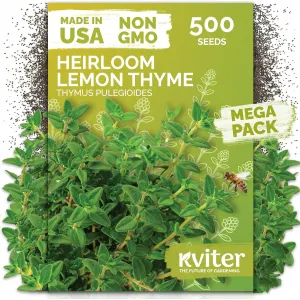 black-eyed-susan-seeds
