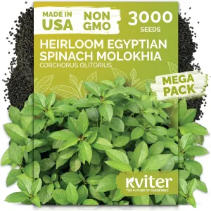 black-eyed-susan-seeds