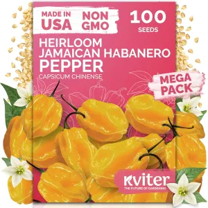 black-eyed-susan-seeds