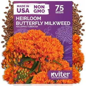 black-eyed-susan-seeds