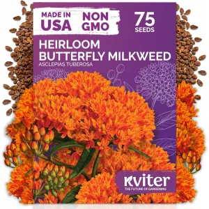 black-eyed-susan-seeds