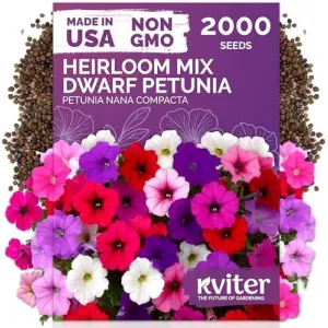 black-eyed-susan-seeds