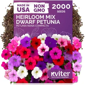 black-eyed-susan-seeds