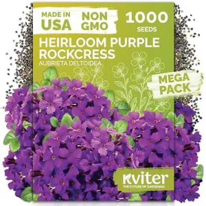 black-eyed-susan-seeds