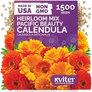 black-eyed-susan-seeds