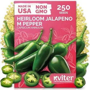 black-eyed-susan-seeds