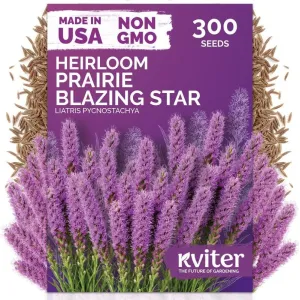 black-eyed-susan-seeds