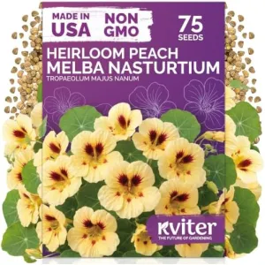 black-eyed-susan-seeds