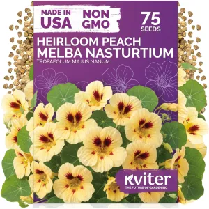 black-eyed-susan-seeds