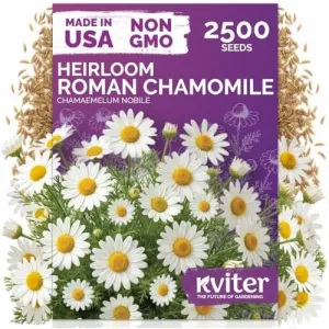black-eyed-susan-seeds