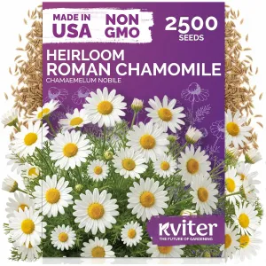 black-eyed-susan-seeds