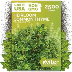 black-eyed-susan-seeds