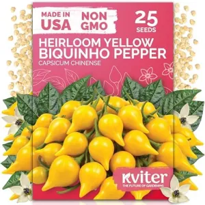 black-eyed-susan-seeds