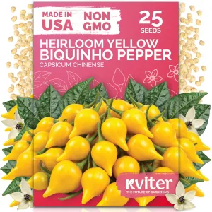 black-eyed-susan-seeds
