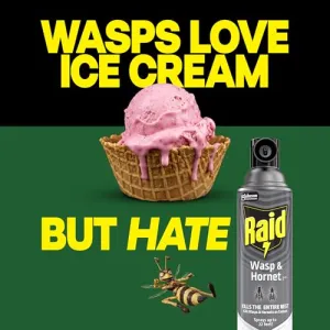 raid-wasp-hornet-spray