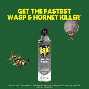 raid-wasp-hornet-spray