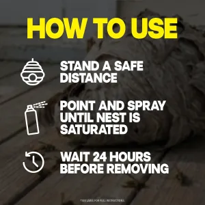 raid-wasp-hornet-spray
