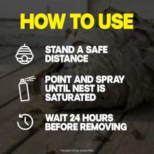 raid-wasp-hornet-spray