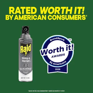 raid-wasp-hornet-spray