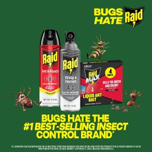 raid-wasp-hornet-spray